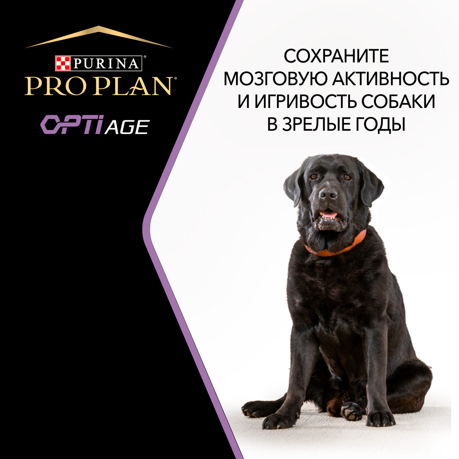 Сухой корм для собак PRO PLAN 0.7 кг курица (полнорационный) - фото 5