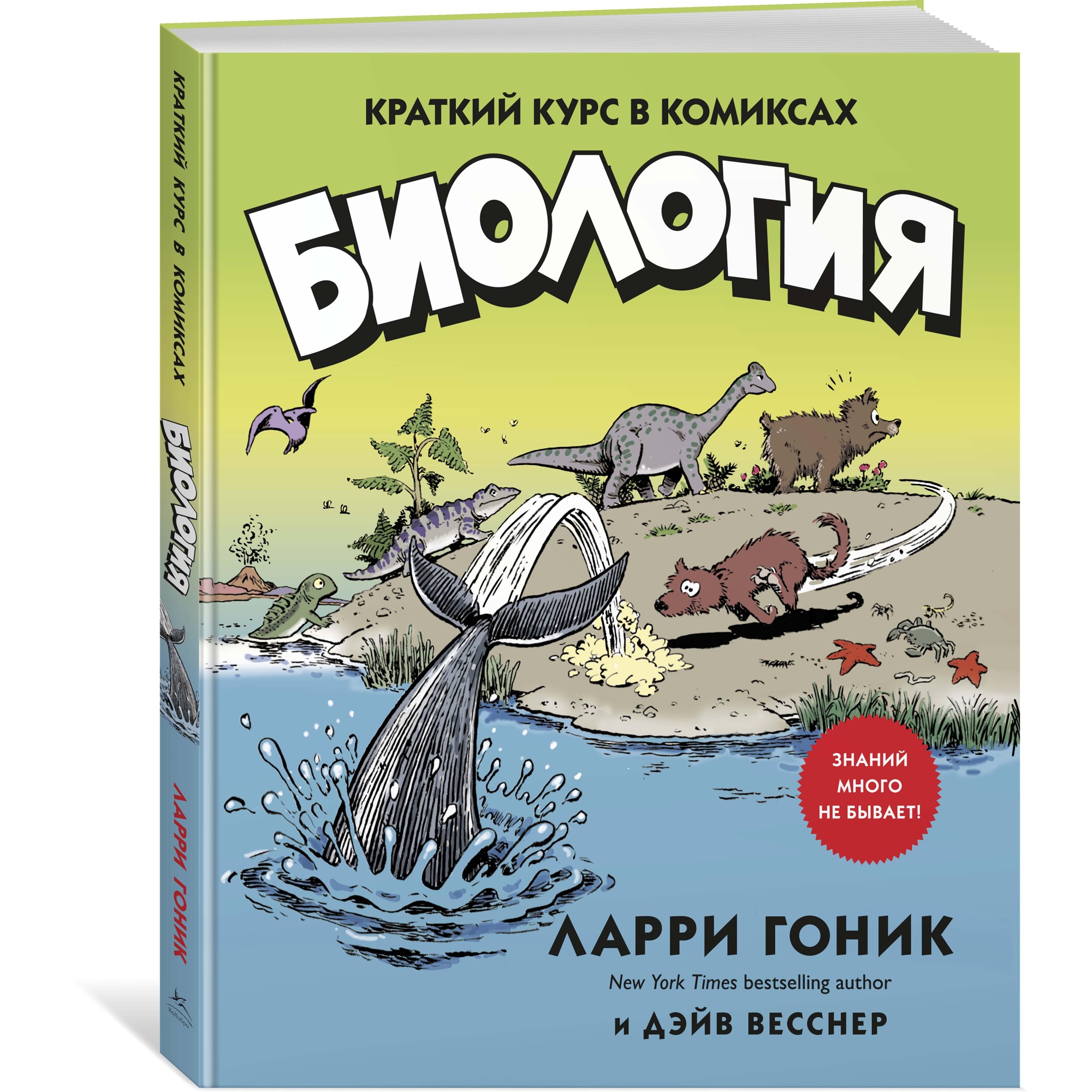 Книга КОЛИБРИ Биология. Краткий курс в комиксах - фото 11