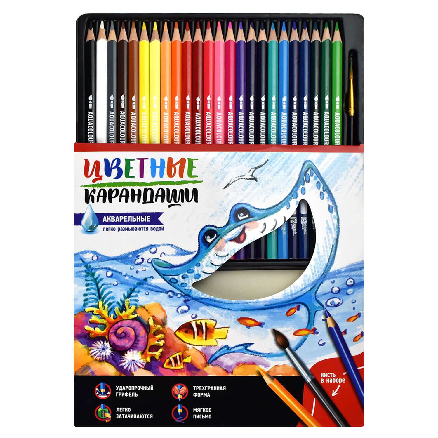 Цветные карандаши ФЕНИКС+ акварельные Счастливый Скат 24 цвета - фото 2