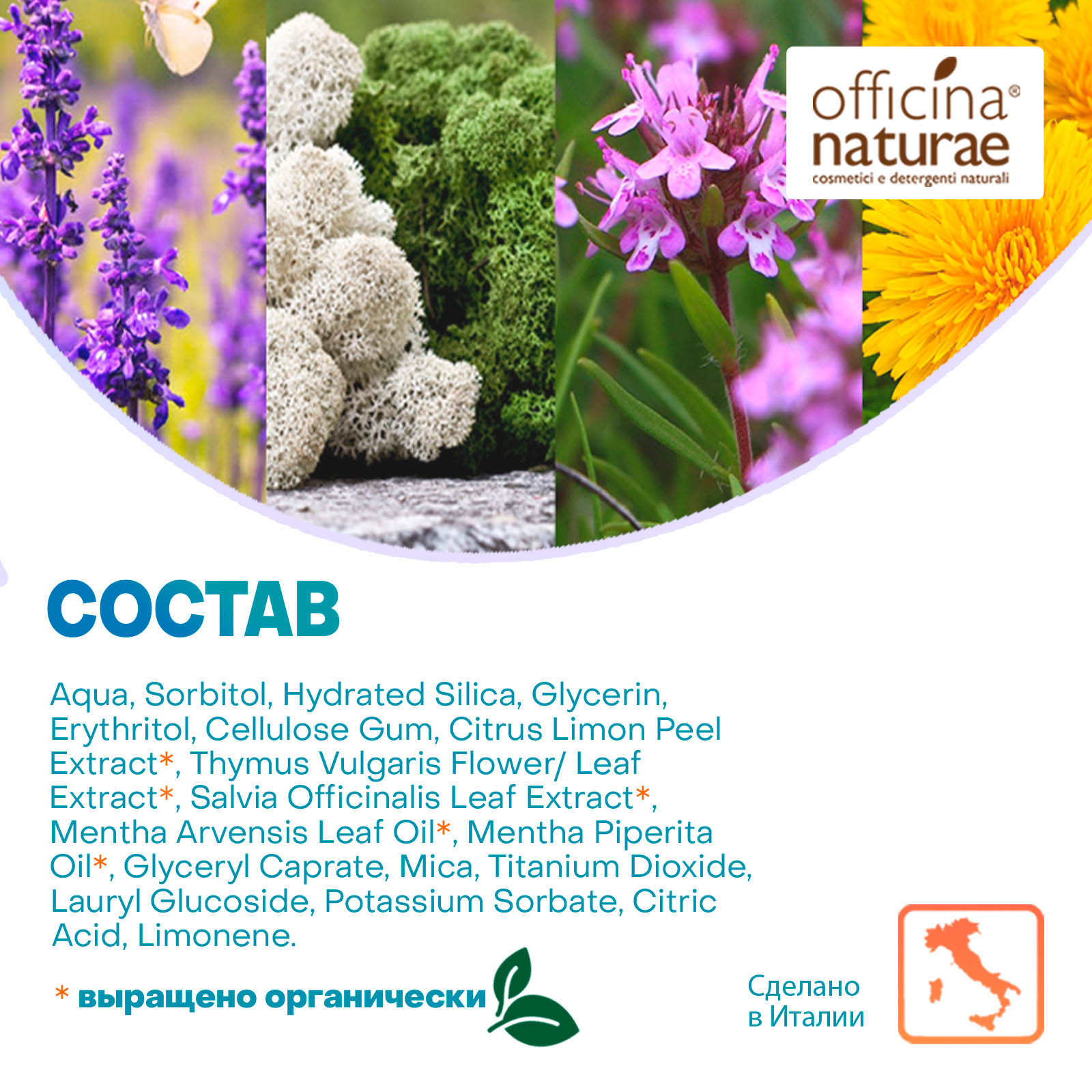 Зубная паста Officina Naturae Органическая отбеливающая без фтора для взрослых - фото 4