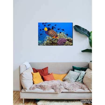 Алмазная мозаика Cristyle картина стразами Рыбки 40х30 см Cr 430050