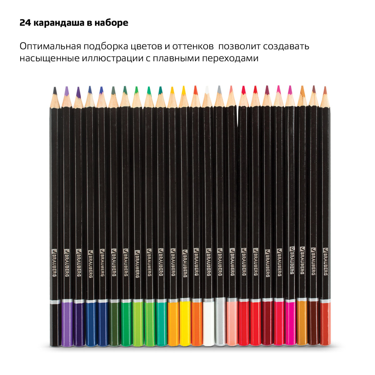 Карандаши цветные Brauberg акварельные Artist line 24 цвета высшее качество - фото 2