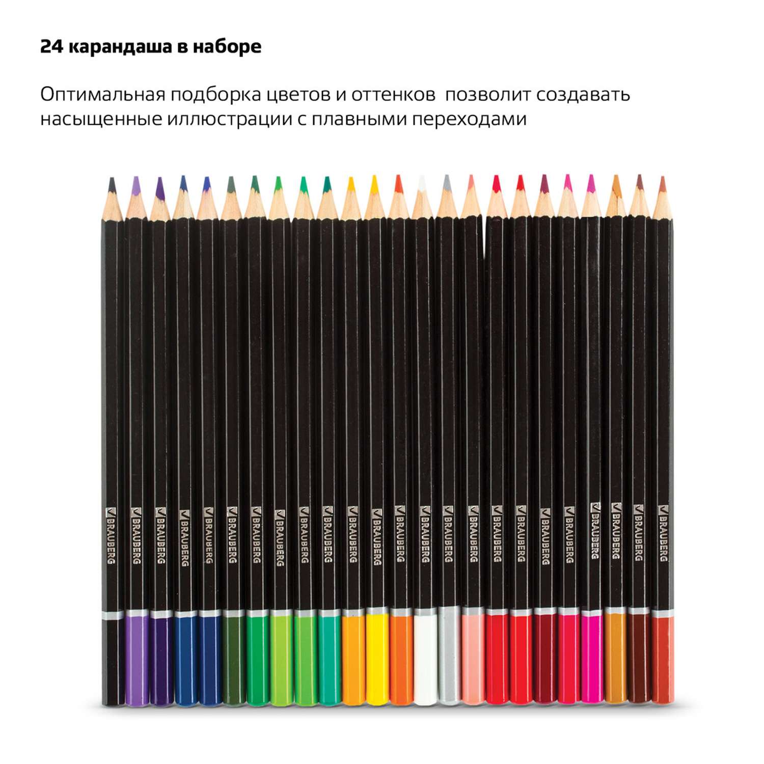 Карандаши цветные Brauberg акварельные Artist line 24 цвета высшее качество - фото 2
