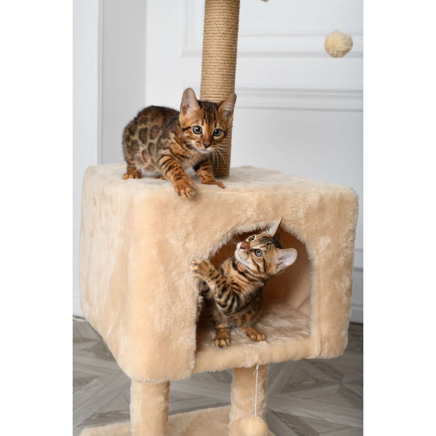 Когтеточка для кошек домик БРИСИ Бежевый - фото 3