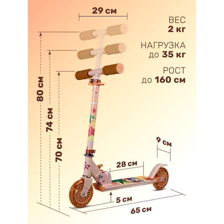 Самокат двухколесный складной CITYRIDE 120/120