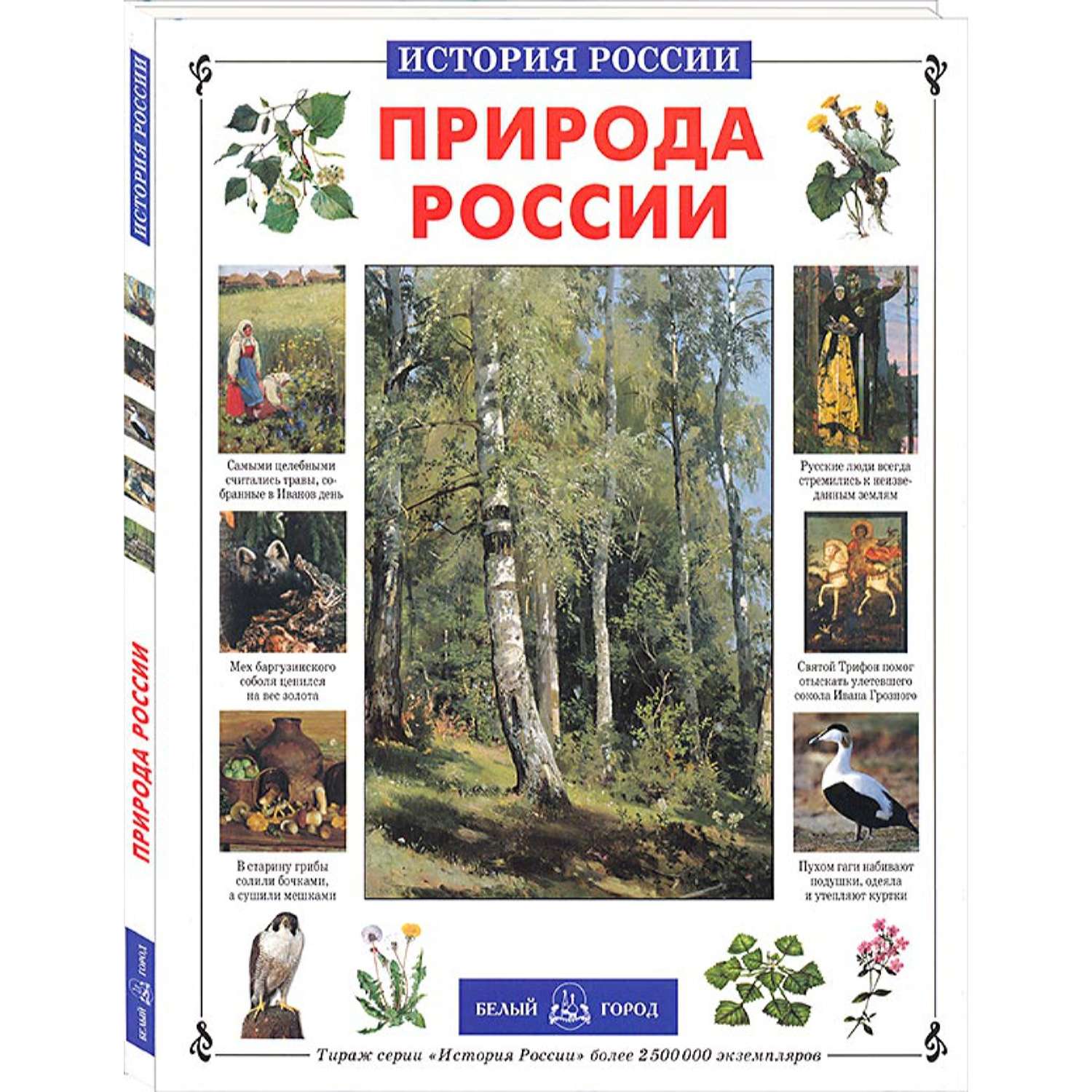 Книга Белый город Природа России - фото 1