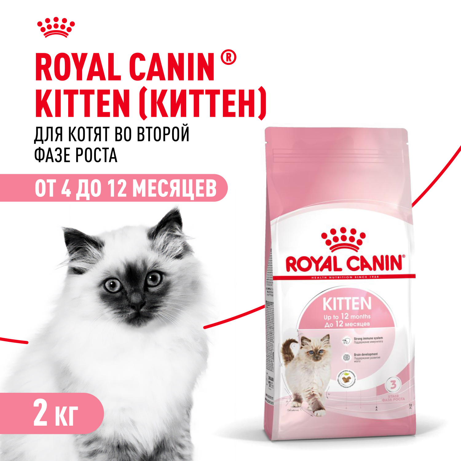 Корм сухой для котят ROYAL CANIN Kitten 2кг - фото 1