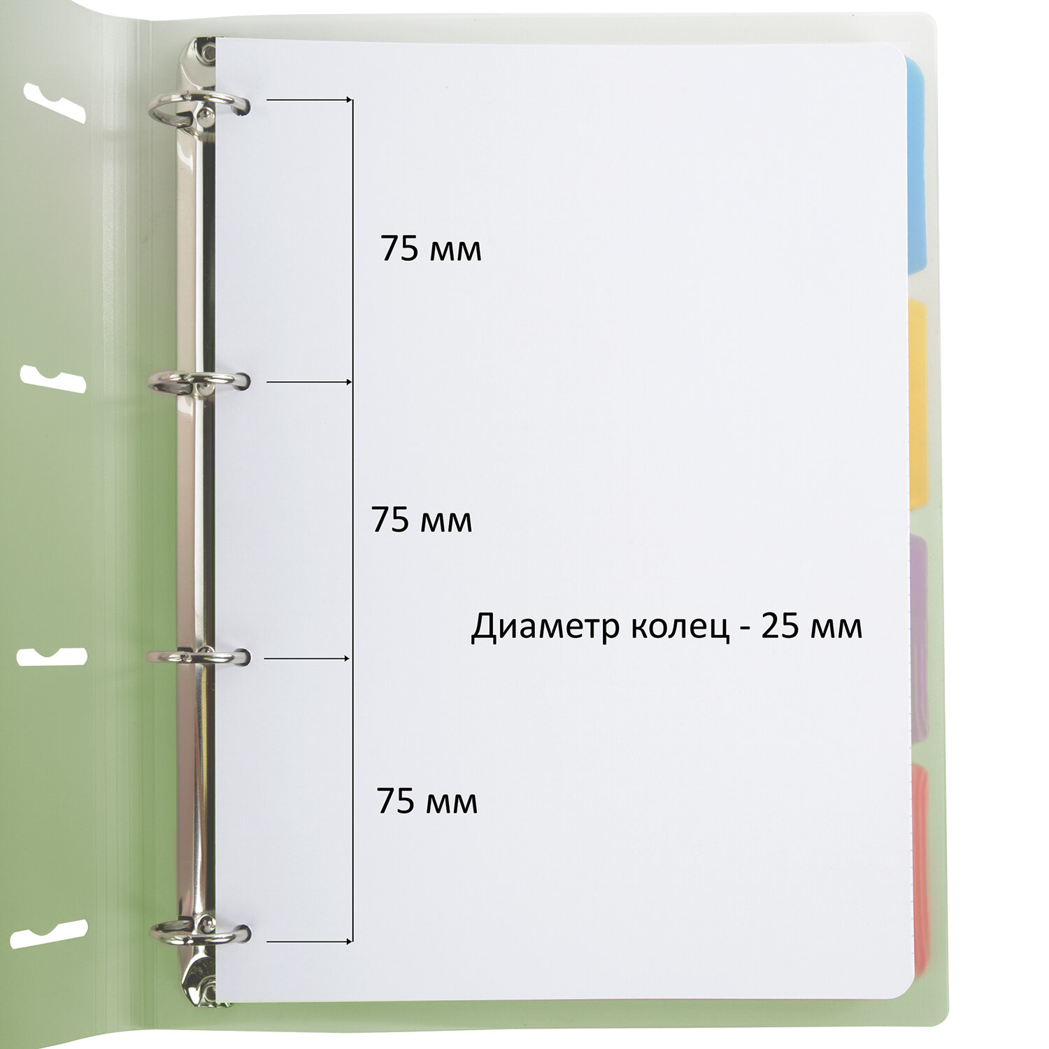 Тетрадь на кольцах Brauberg А4 со сменным блоком большая 120 листов с разделителями - фото 4