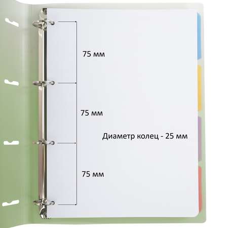 Тетрадь на кольцах Brauberg А4 со сменным блоком большая 120 листов с разделителями