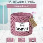 Трикотажная пряжа BISKVIT Ягодный морс