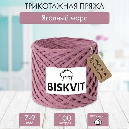 Трикотажная пряжа BISKVIT Ягодный морс