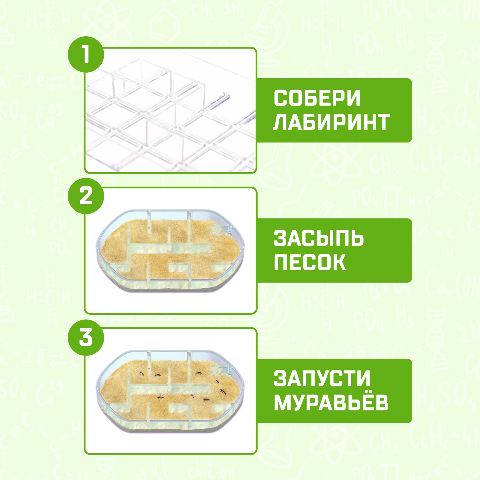 Набор для опытов Эврики «Лабиринт для муравьёв» - фото 3