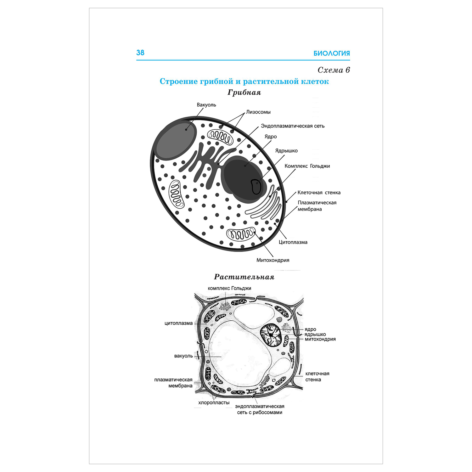 Книга Биология Весь школьный курс в таблицах и схемах для подготовки к ЕГЭ - фото 19