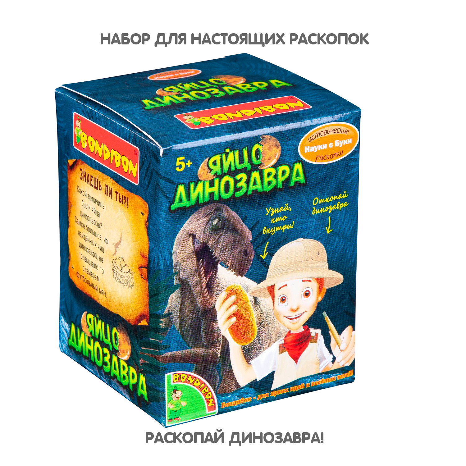 Набор археолога BONDIBON Науки с Буки Яйцо динозавра купить по цене 431 ₽ в  интернет-магазине Детский мир