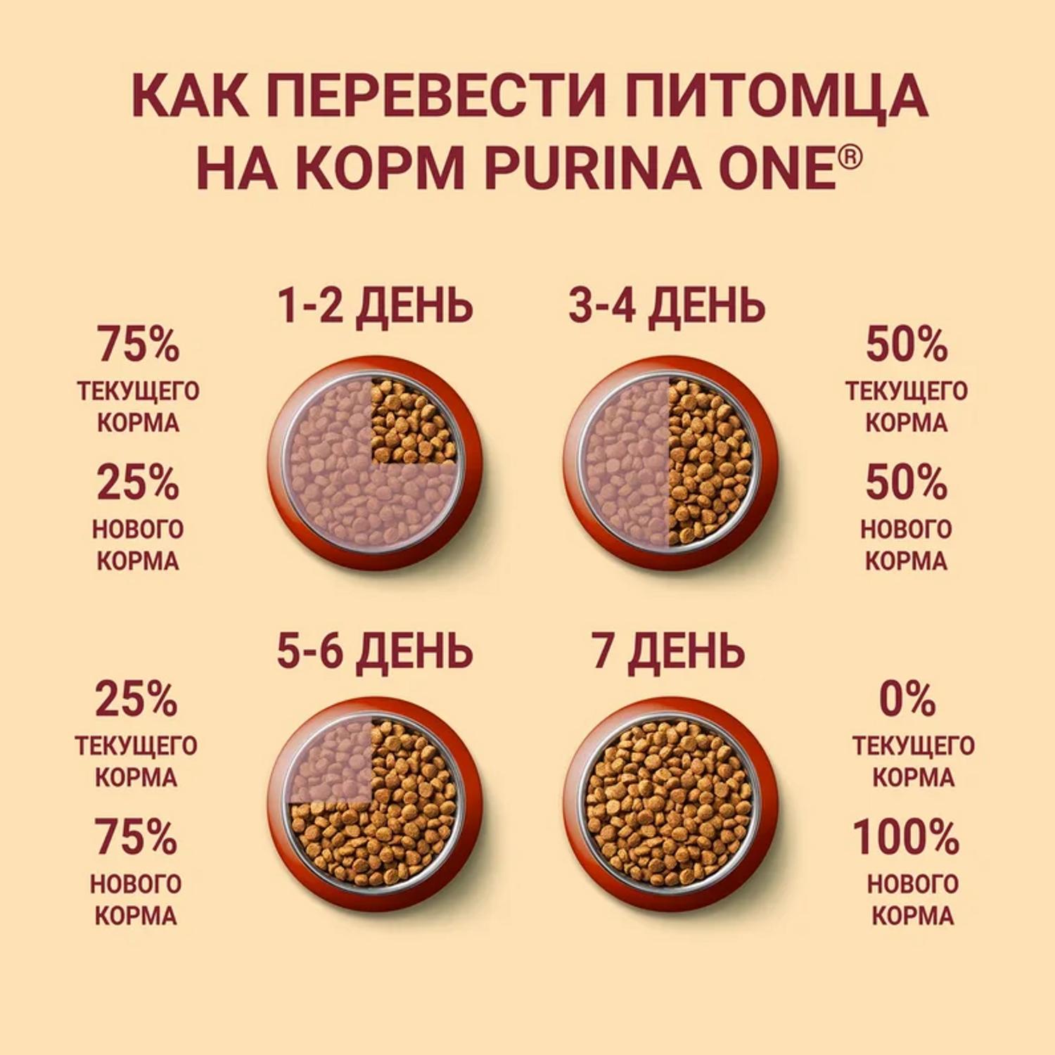 Сухой корм для собак Purina One Mini 0.6 кг (полнорационный) - фото 9