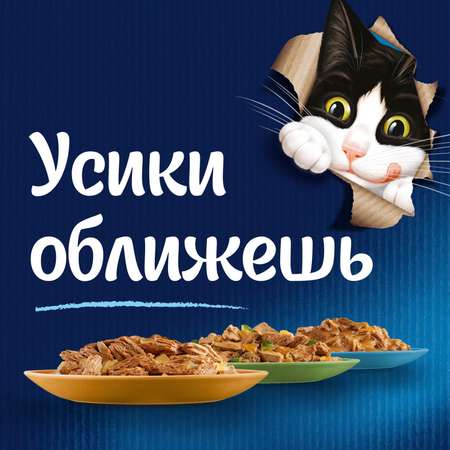 Корм для кошек Felix 75г Sensations для взрослых говядина-томаты соус