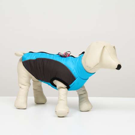 Куртка для собак Sima-Land со светоотражающими полосами размер 8 сине-голубая