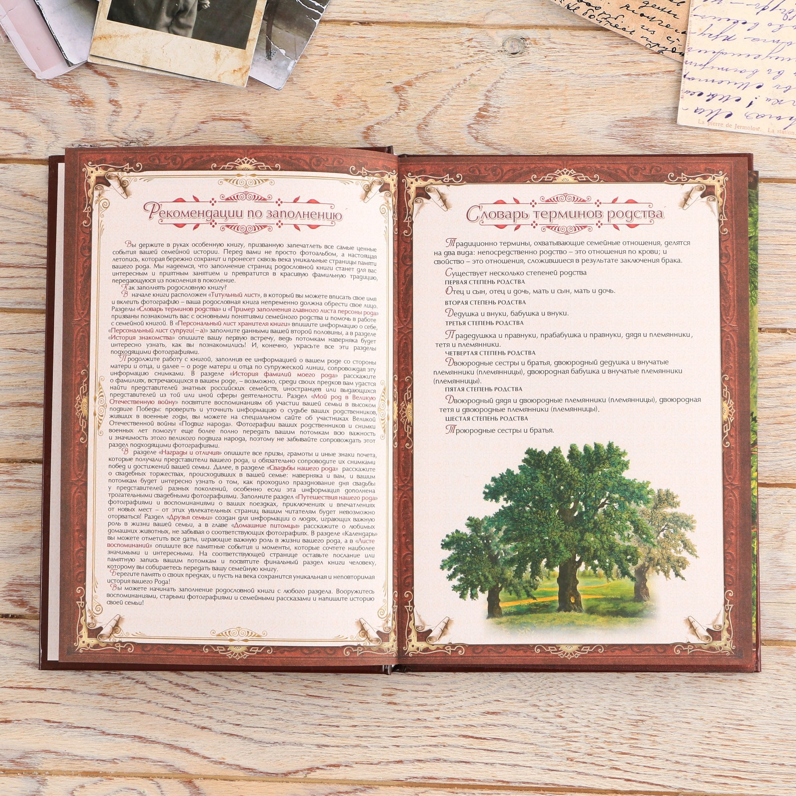 Родословная книга Sima-Land в шкатулке с пером и чернильницей «Древо» 56 листов 26 х 24 х 7 см - фото 6