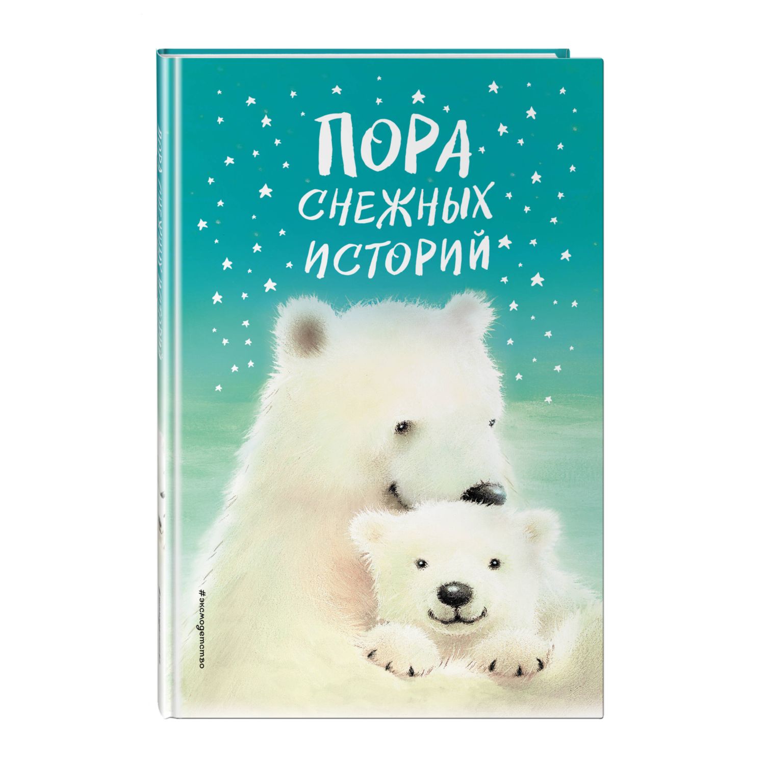 Книга Пора снежных историй - фото 1