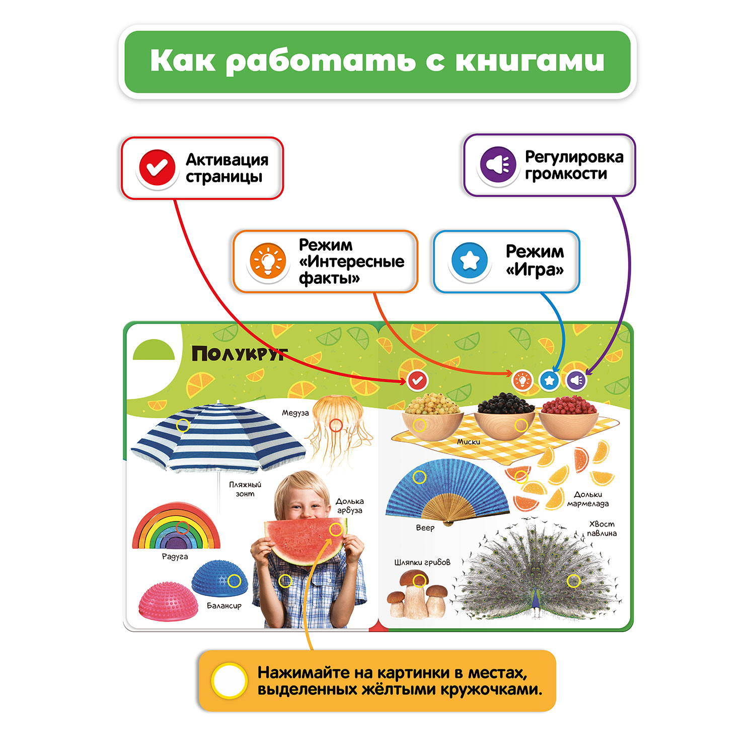 Комплект говорящих книжек BertToys Нажималки: Цвета + Формы - фото 6