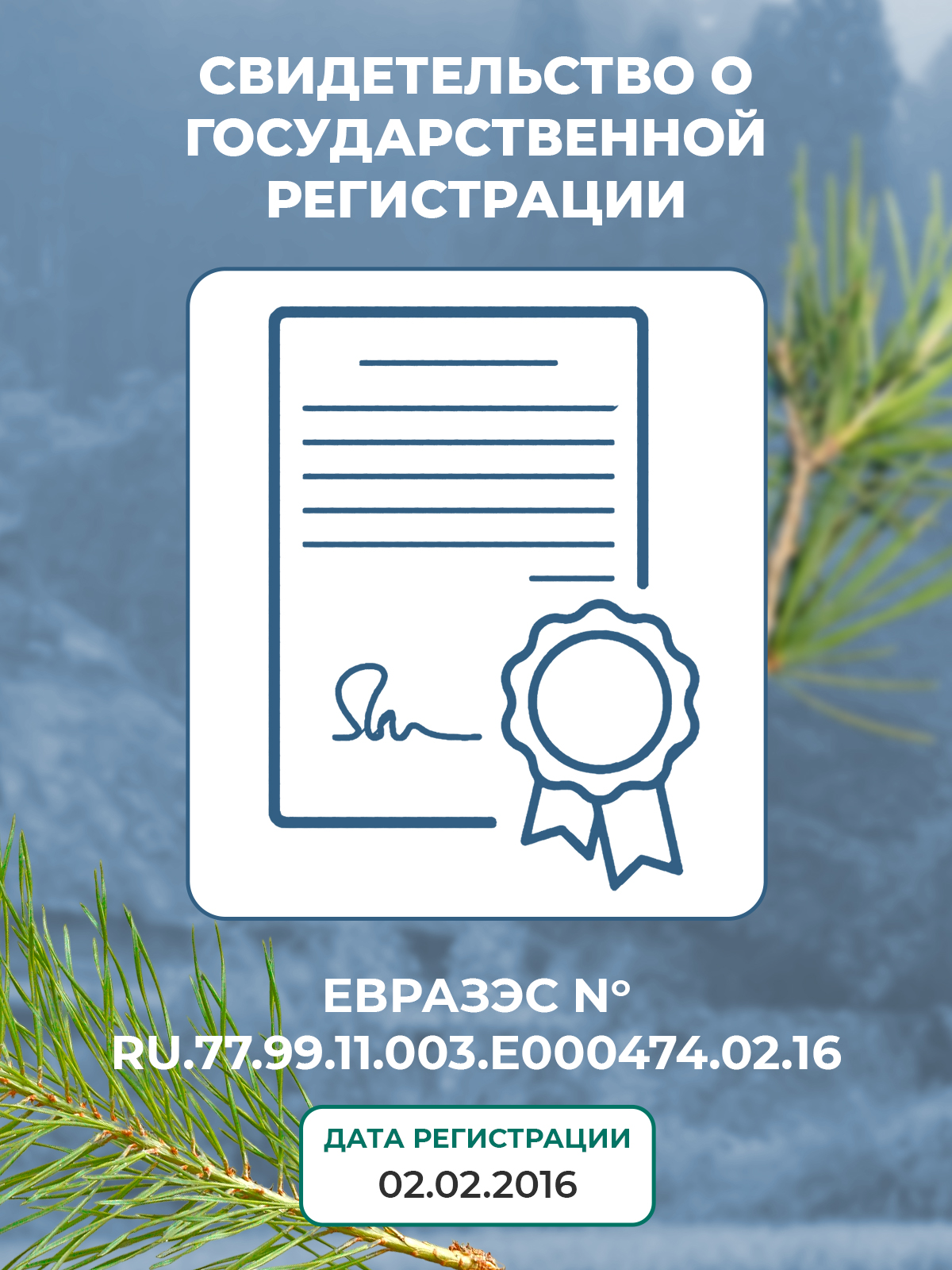 Натуральный грибной препарат Грибная аптека Кордицепс для иммунитета 60 капсул - фото 11