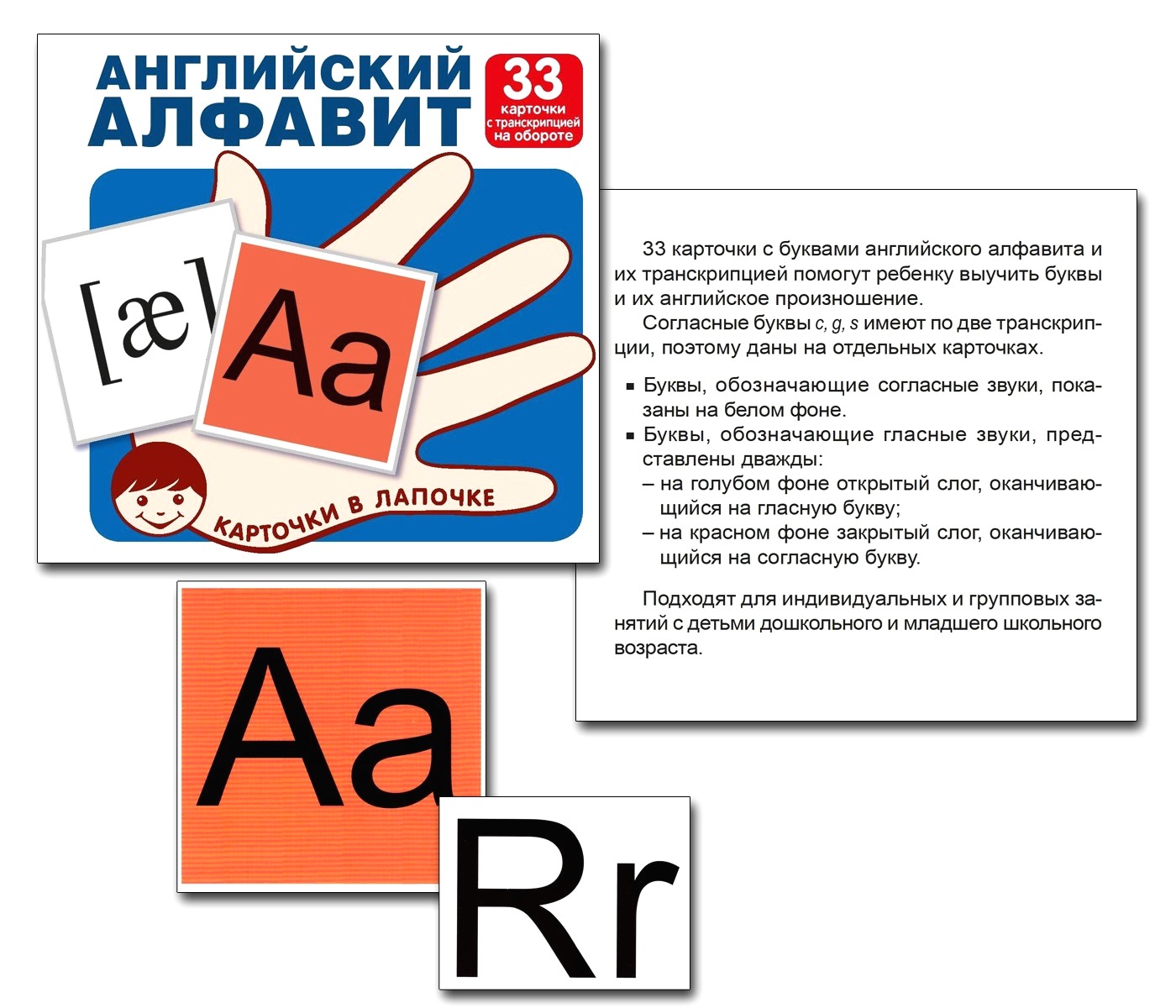 Развивающие карточки ТЦ Сфера Карточки в лапочке. Английский алфавит купить  по цене 142 ₽ в интернет-магазине Детский мир