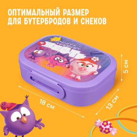 Ланч-бокс с декором Смешарики 18х13х5 см 0,98 л фиолетовый