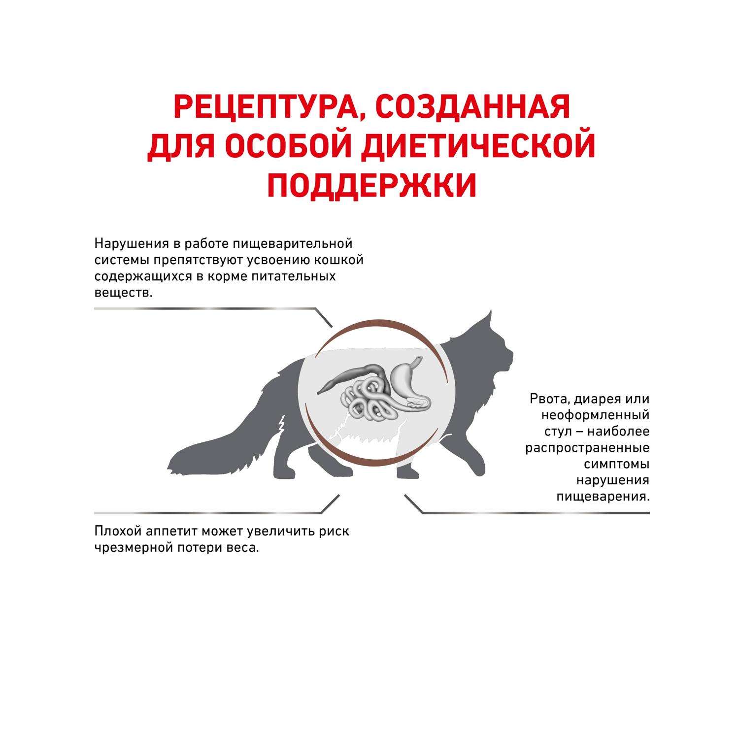 Причины анорексии у кошек. Симптомы, лечение анорексии у кошек - ВЦ «Зоовет»