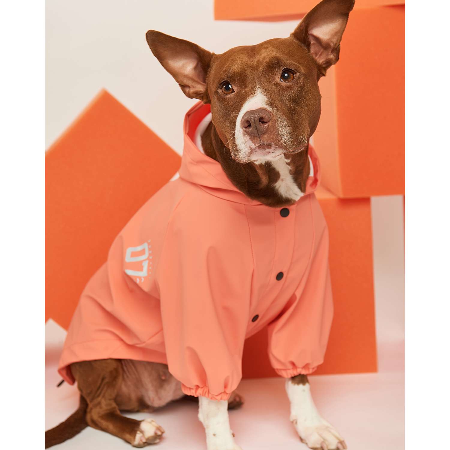 Куртка-дождевик для собак Zoozavr розовый 55 - фото 11