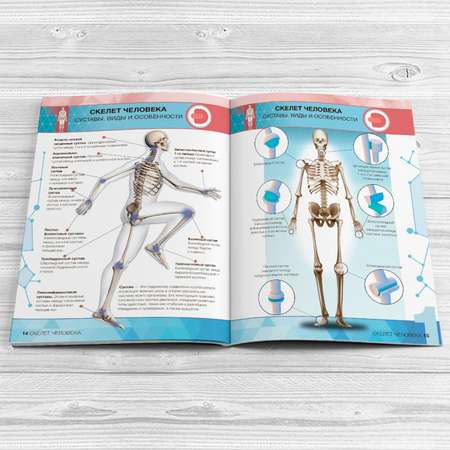 Книга DEVAR 4D Энциклопедия в мягкой обложке. Анатомия: тело человека