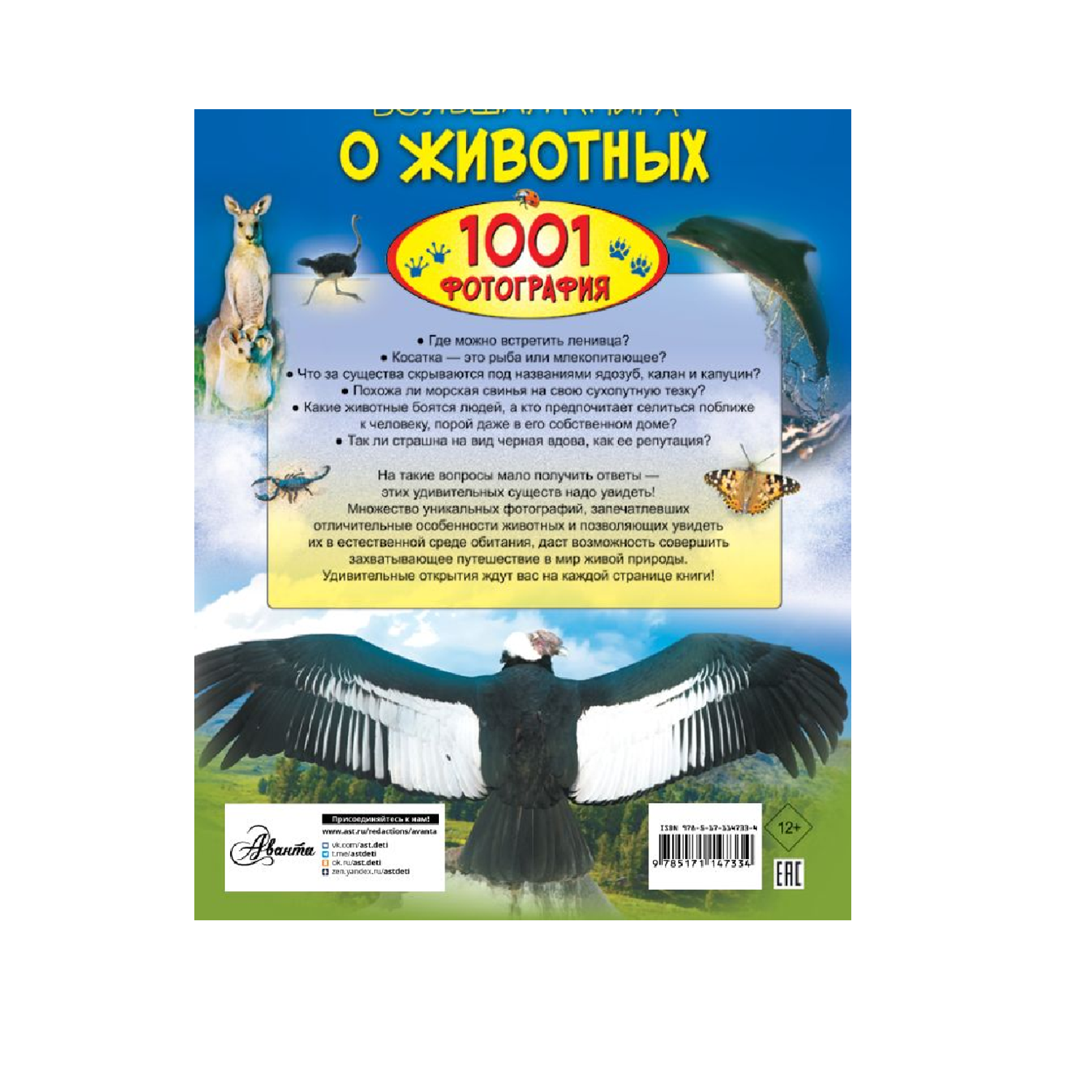 Книга АСТ Большая книга о животных. 1001 фотография - фото 2