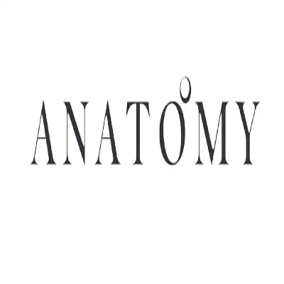 Anatomy