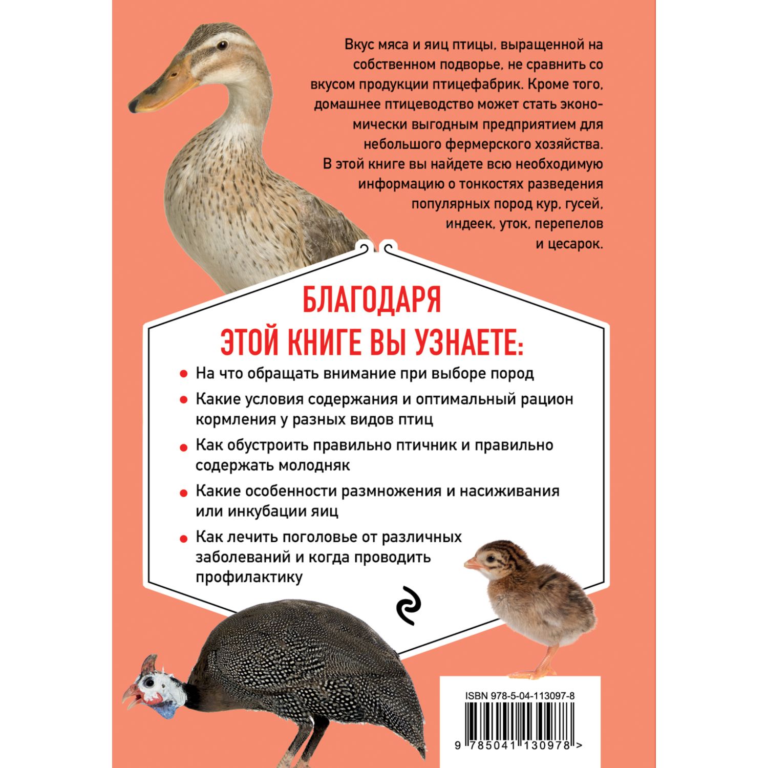 Книга ЭКСМО-ПРЕСС Птицеводство без ошибок Куры утки индюшки гуси цесарки и  перепела для начинающих купить по цене 212 ₽ в интернет-магазине Детский мир