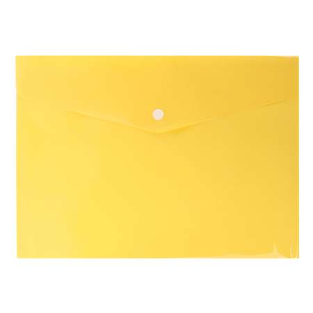 Папка-конверт Erhaft А4 на кнопке в ассортименте LS-6530-13
