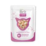 Корм влажный для кошек Brit Care 80г с морским лещем пауч