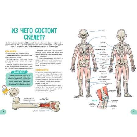 Книга Clever Издательство Удивительные энциклопедии. Невероятное тело человека Валло Д.