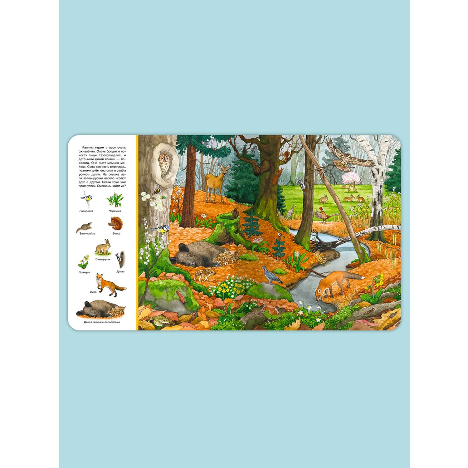 Книга Омега-Пресс Виммельбух Найди и покажи В лесу - фото 2
