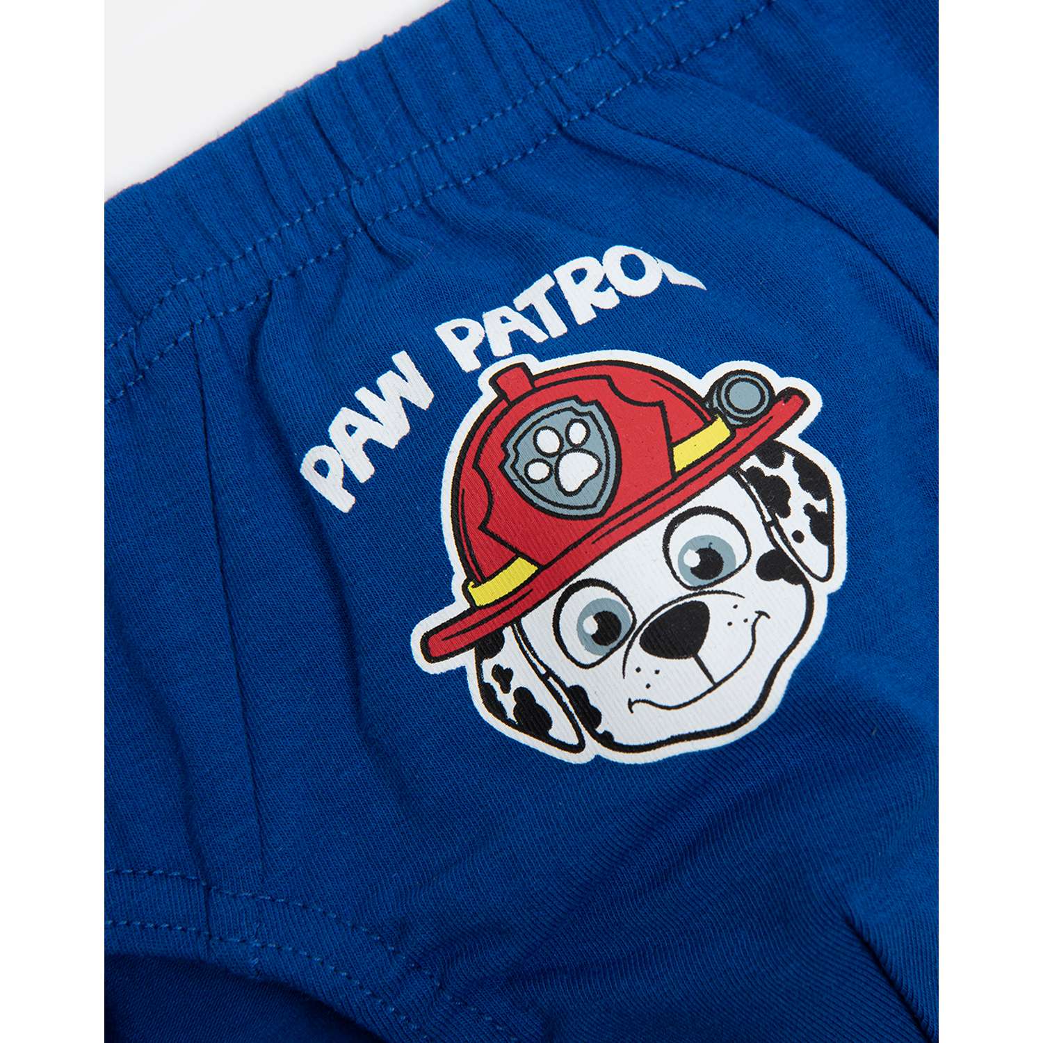 Трусы Paw Patrol S22LC2-2621001kb-ZZ - фото 10