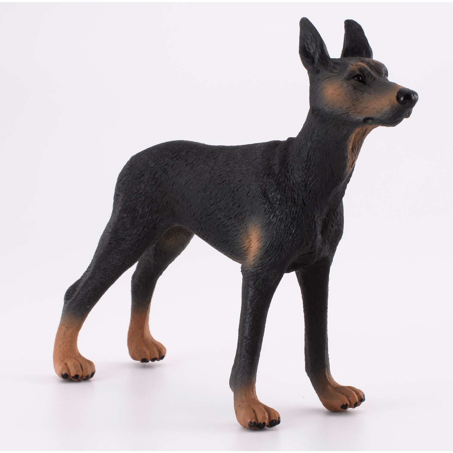 CollectA Doberman Pinscher