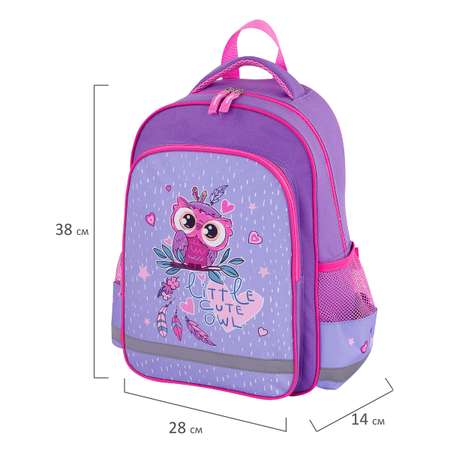 Рюкзак Пифагор School для начальной школы Owlet