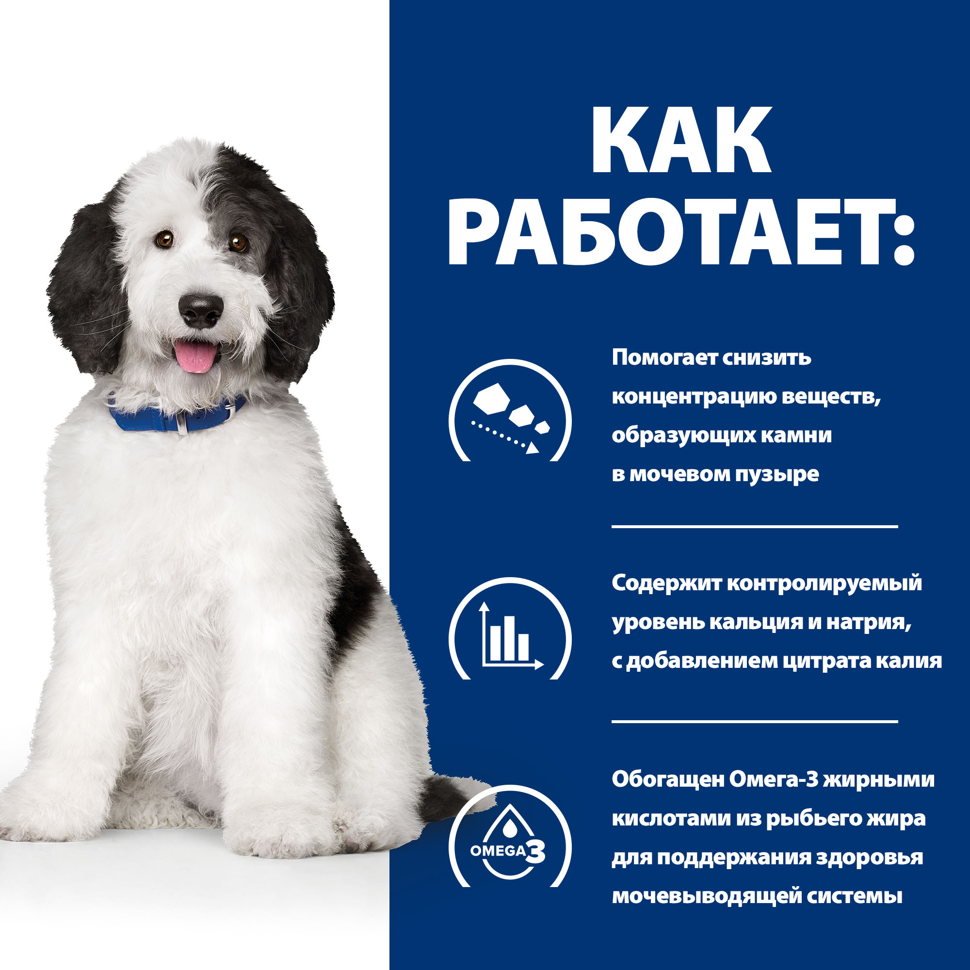 Корм для собак HILLS 1.5кг Prescription Diet c/d Multicare Urinary Care при профилактике мочекаменной болезни с курицей сухой - фото 4