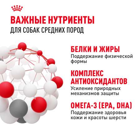 Корм для собак ROYAL CANIN средних пород 3кг