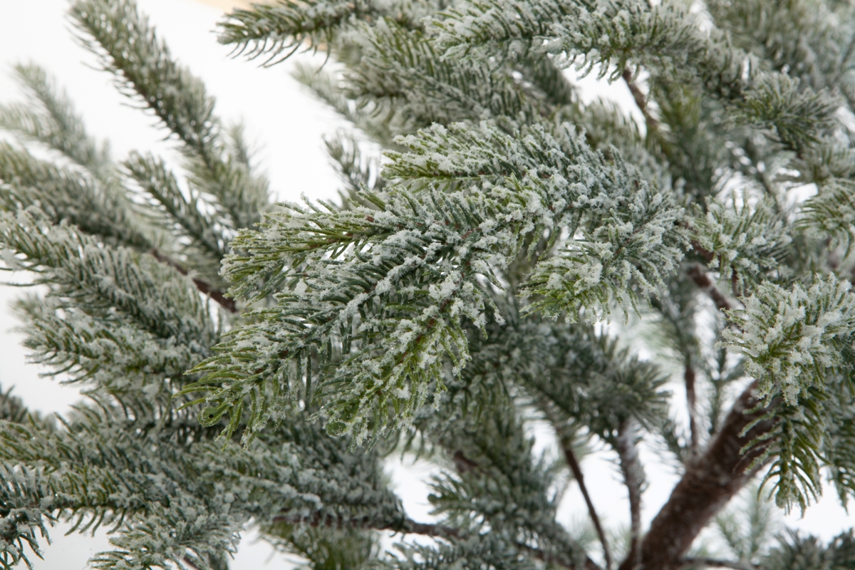 Искусственная елка Crystal Trees Больери в снегу 150 см. - фото 7