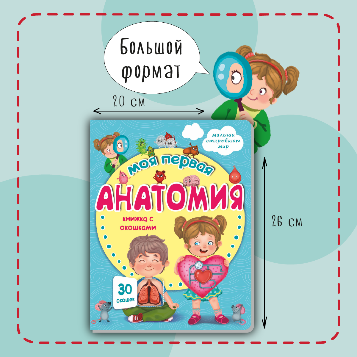 Книжка для малышей BimBiMon с окошками. Моя первая анатомия Виммельбух - фото 3