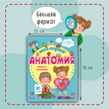 Книжка для малышей BimBiMon с окошками. Моя первая анатомия Виммельбух