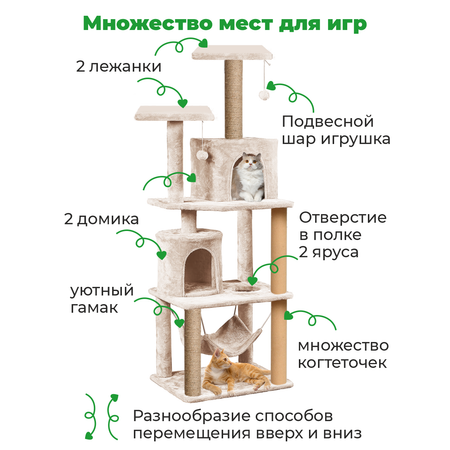 Разработка комплексов для кошек