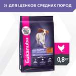 Корм для собак Eukanuba 800г Паппи МедиумБрид 12м