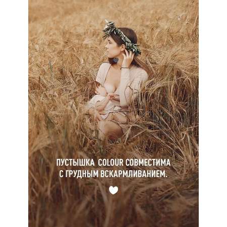 Набор 2 шт. Соска-пустышка BIBS Colour Dark Oak/Blush 6+ месяцев