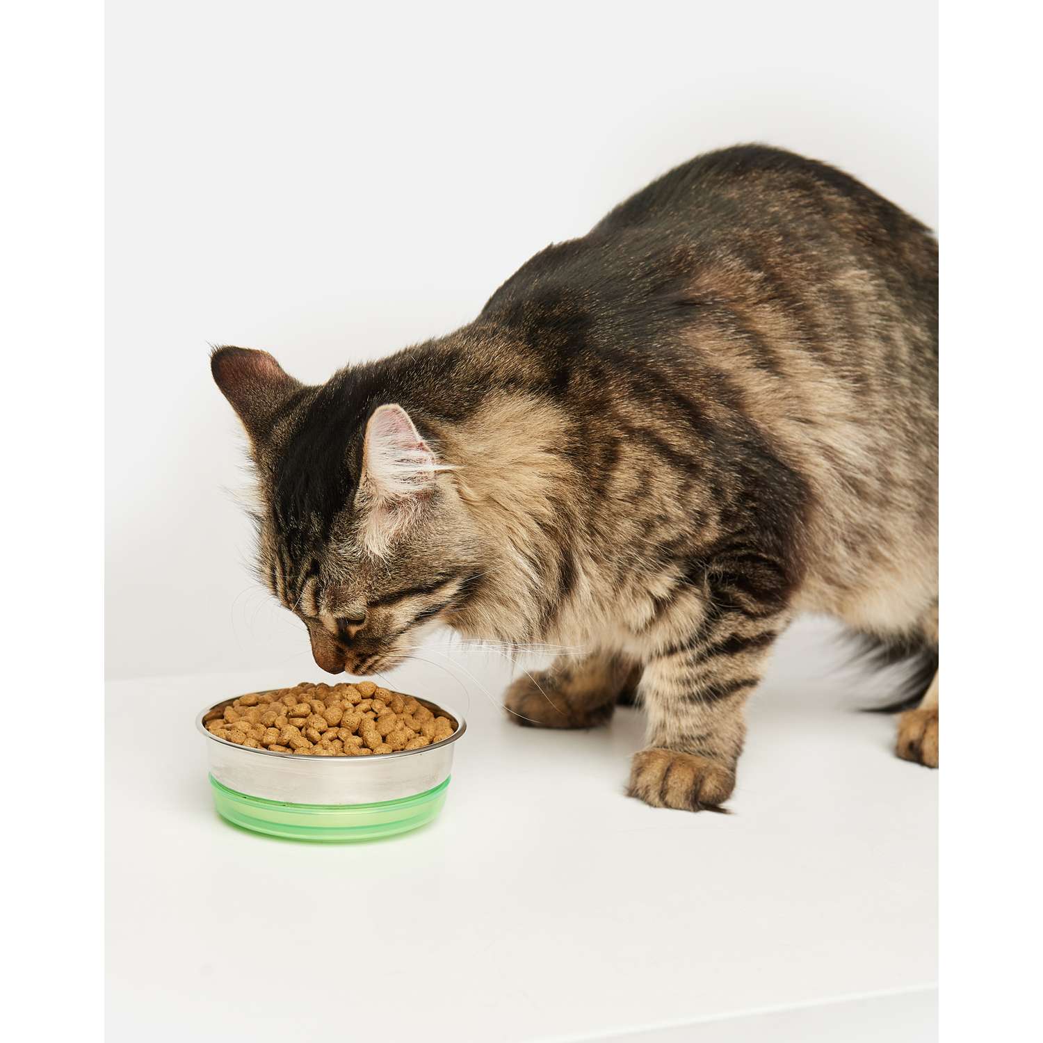 Корм для кошек Carnica 5кг с ягненком и рисом сухой - фото 7