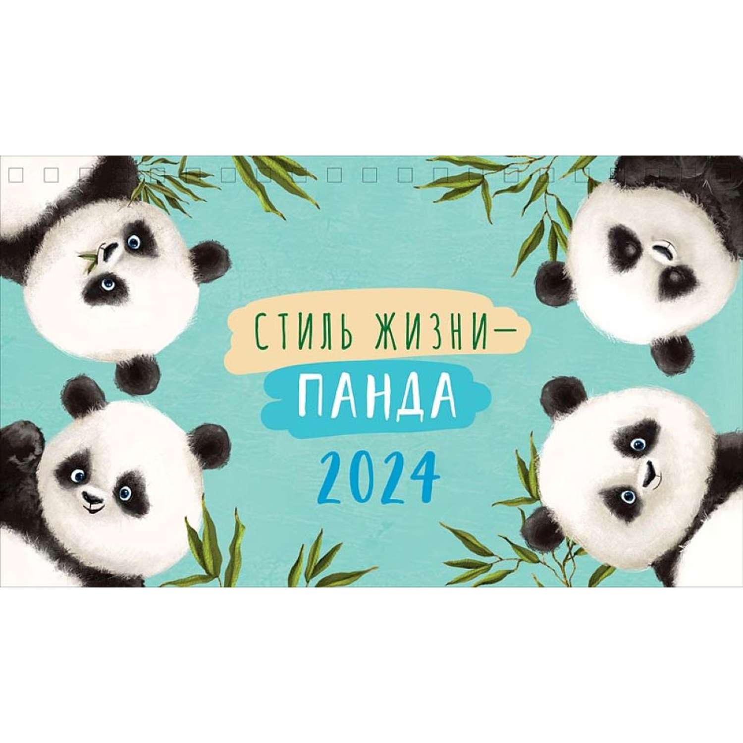 Приключения панды 2024. День дикой природы 2024 Панда. День панды в 2024 году фото. Zoo Natuns с пандой 2024.